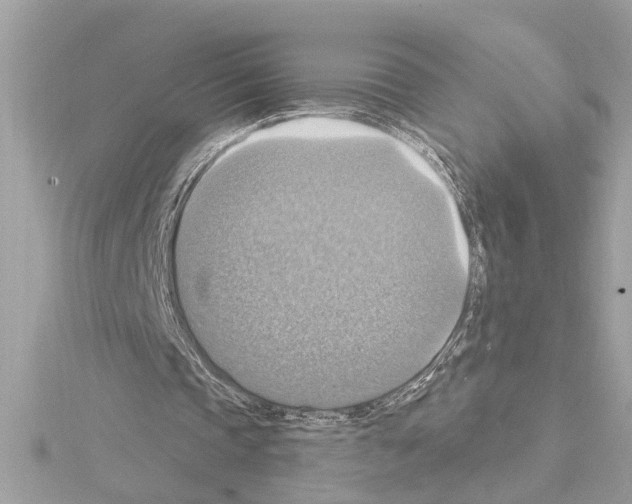 X0000114420337200911271601
