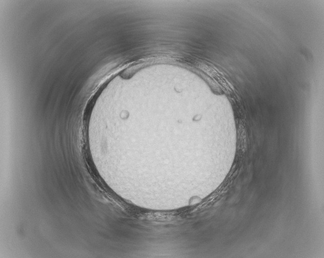 X0000114420338200911271601