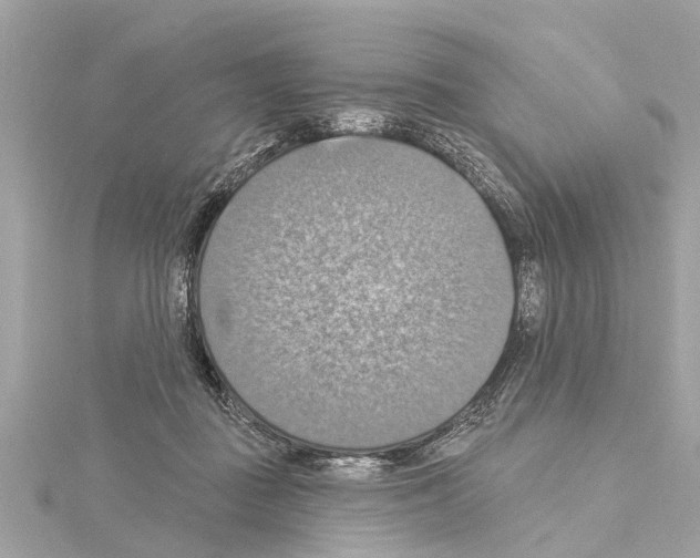 X0000114420363200911271601