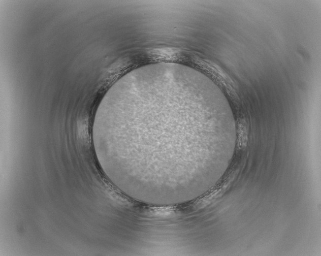 X0000114420377200911271602