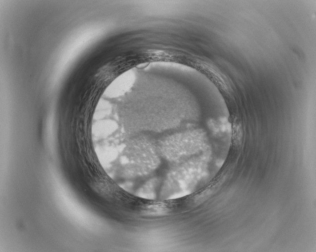 X0000114420381200911271602