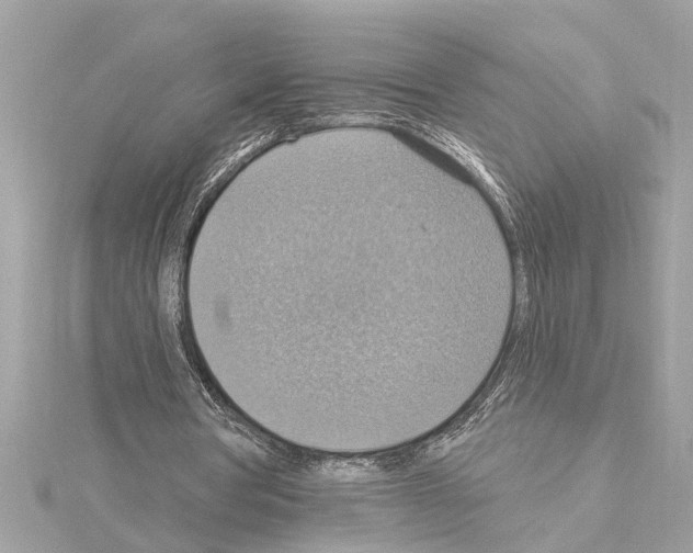 X0000114420386200911271601
