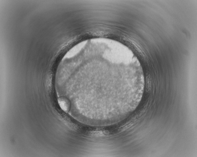 X0000114420404200911271601