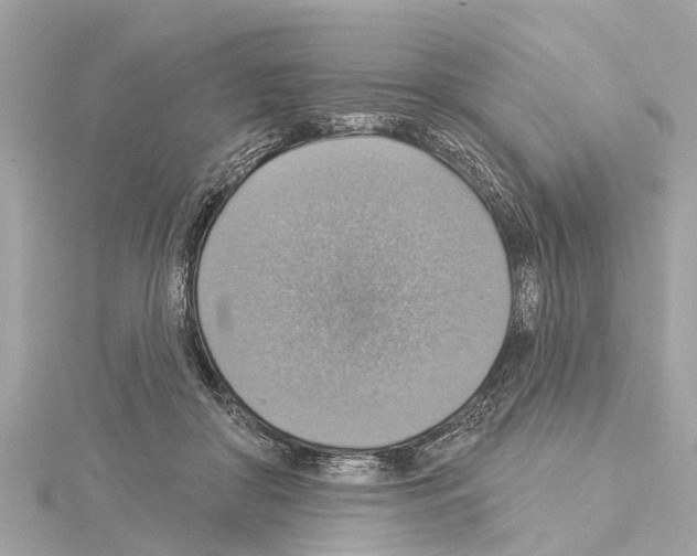 X0000114420410200911271600