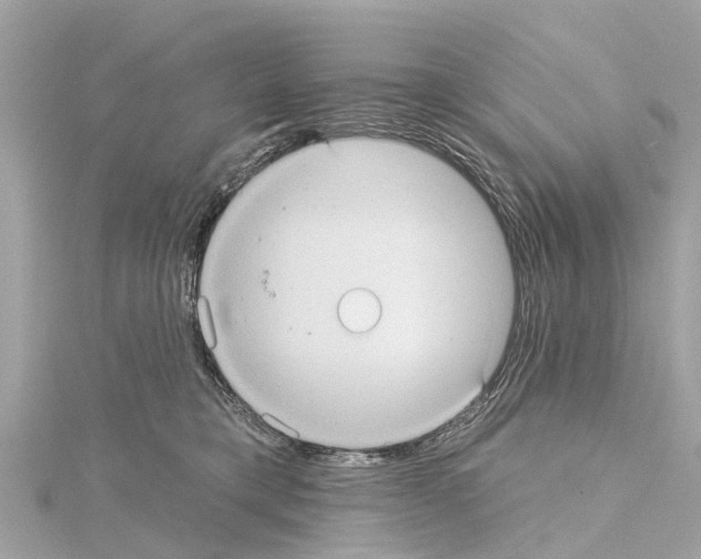 X0000114420421200911271600