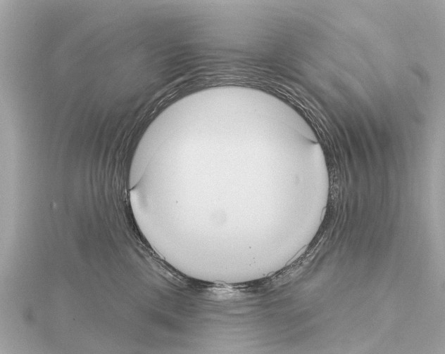 X0000114420425200911271600