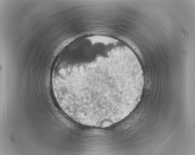 X0000114420437200911271559