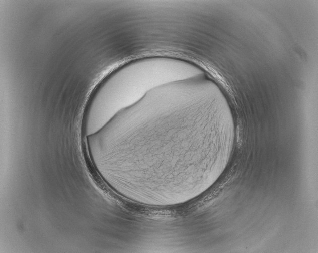 X0000114420438200911271559