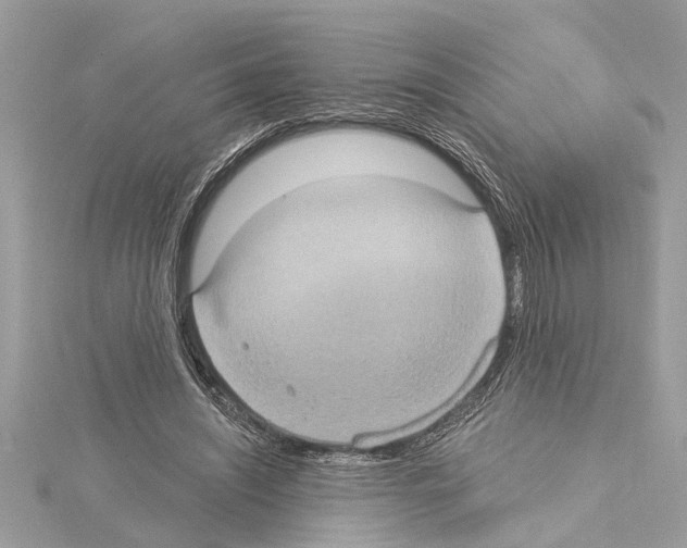 X0000114420444200911271600