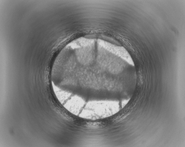 X0000114420450200911271600
