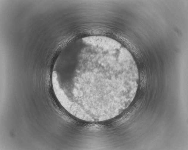 X0000114420453200911271600