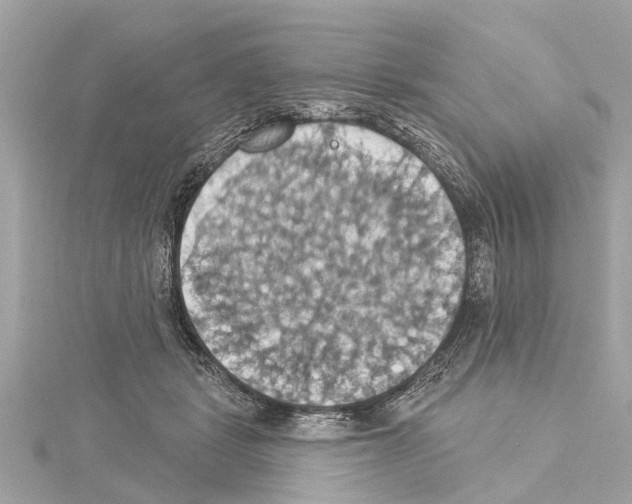 X0000114420461200911271600