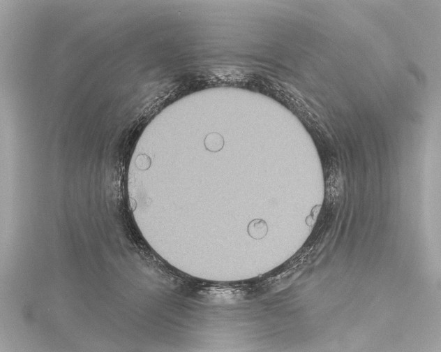 X0000114420464200911271600