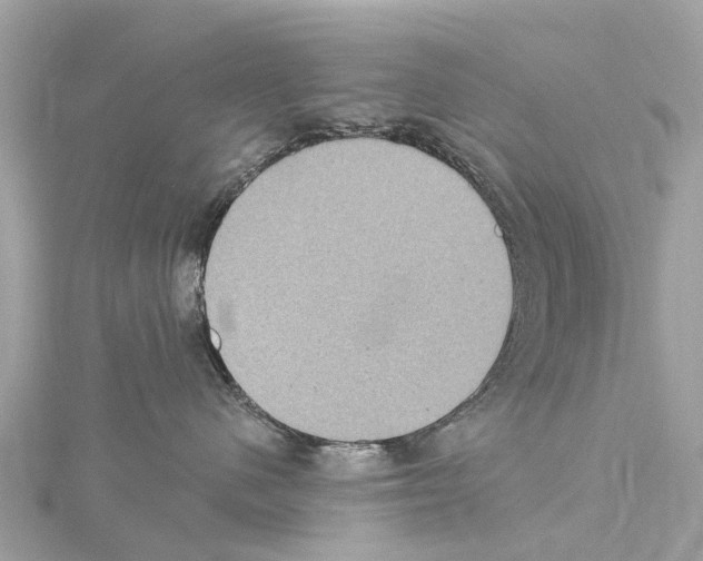 X0000114420480200911271600