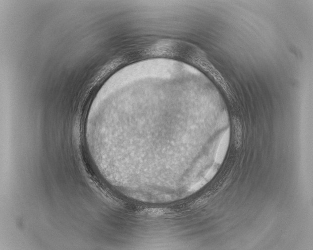 X0000114420482200911271559