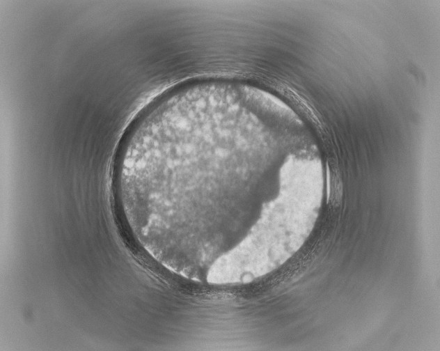 X0000114420483200911271559