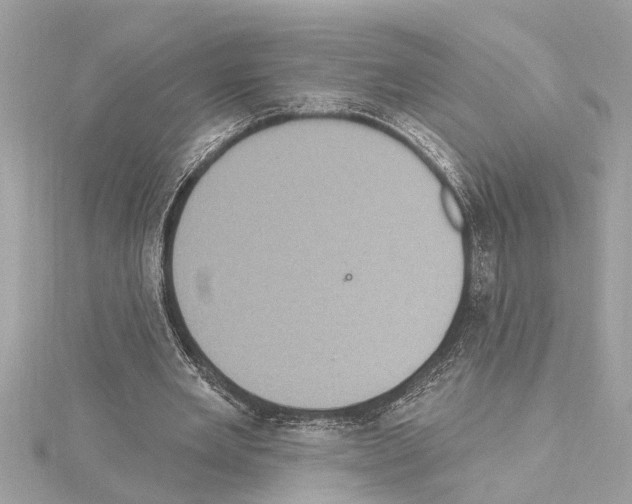 X0000114420485200911271559
