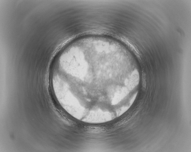 X0000114420486200911271559