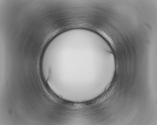 X0000114420493200911271559
