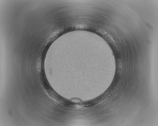 X0000114420496200911271559