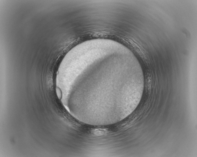X0000114420508200911271559