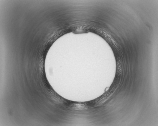 X0000114420509200911271559