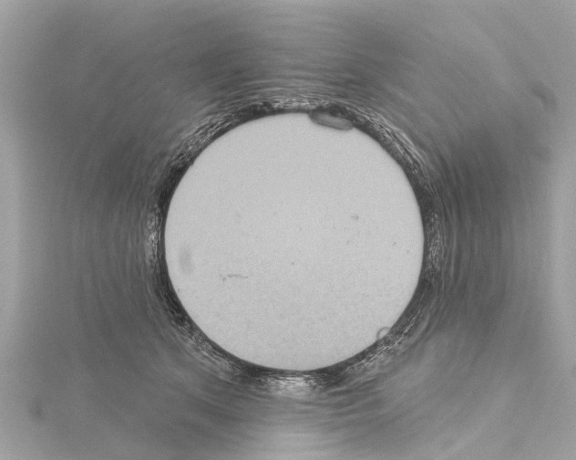 X0000114420513200911271559