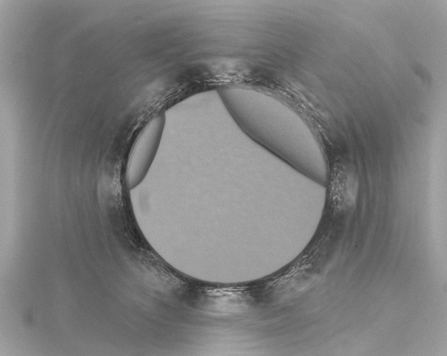 X0000114420516200911271559