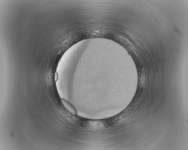 X0000114420520200911271559