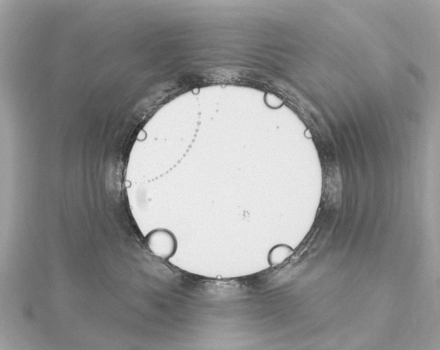 X0000114420525200911271559