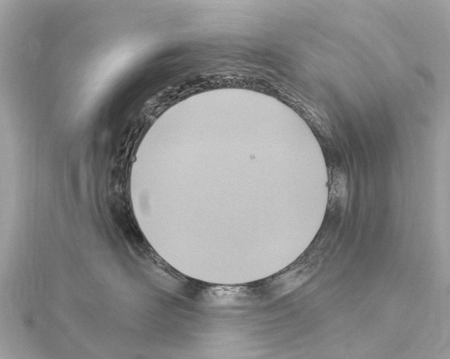 X0000114420526200911271559