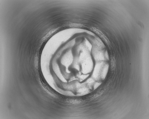 X0000114420533200911271558