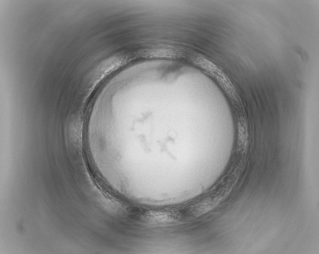 X0000114420534200911271558