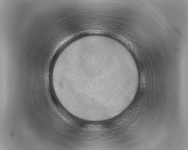 X0000114420535200911271558