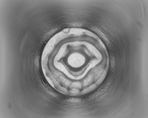 X0000114420537200911271558