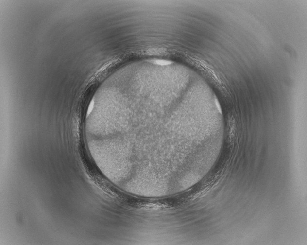X0000114420542200911271558