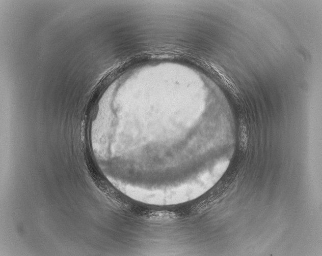 X0000114420543200911271558