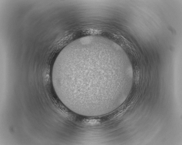 X0000114420553200911271558