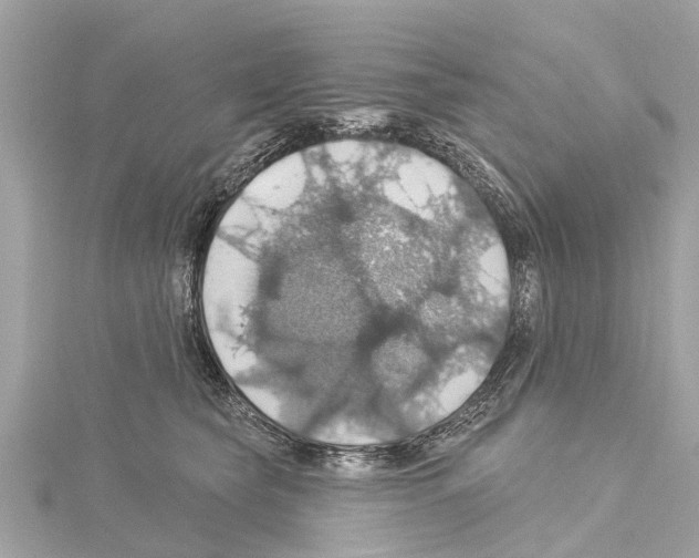 X0000114420565200911271559