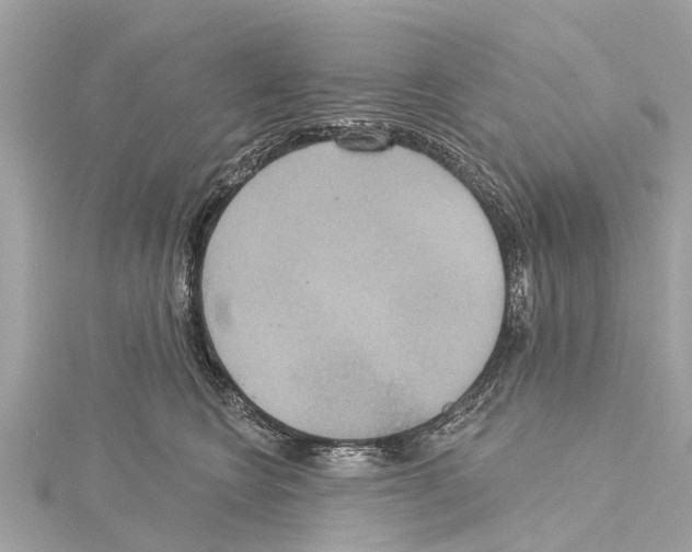 X0000114420566200911271559