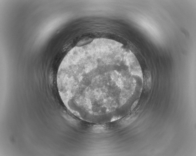 X0000114420574200911271559