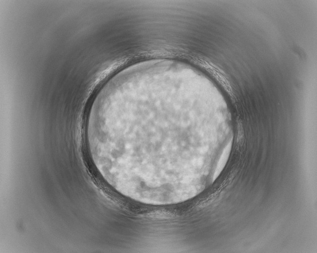 X0000114420578200911271558