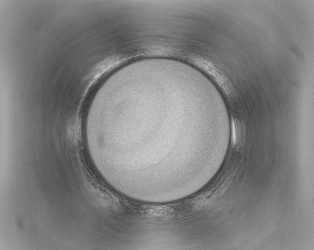 X0000114420579200911271558