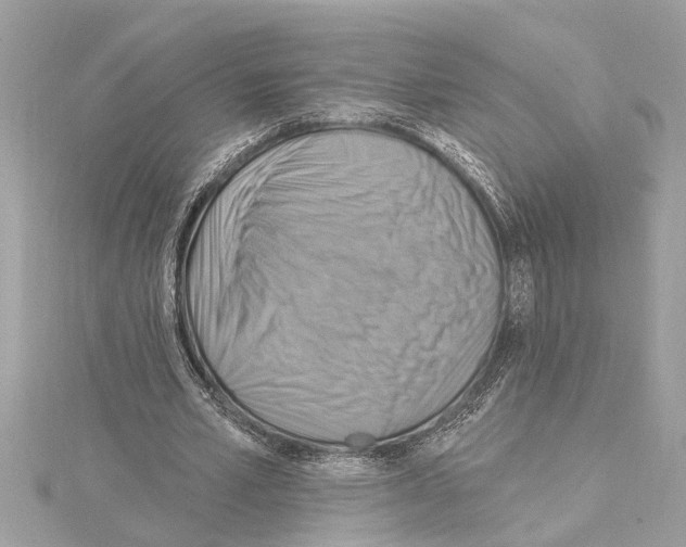 X0000114420581200911271558