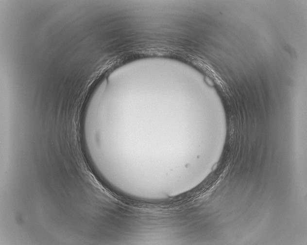 X0000114420585200911271558
