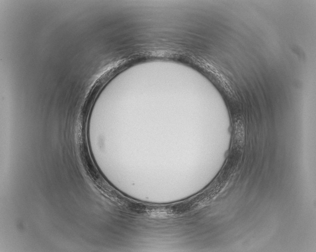 X0000114420587200911271558