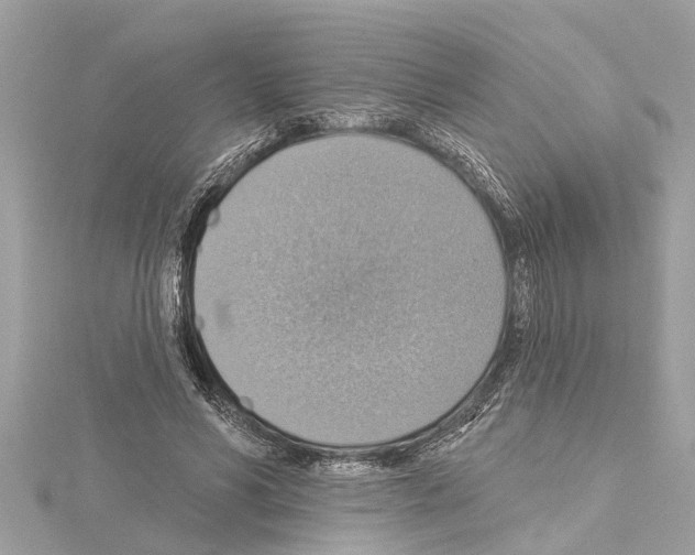 X0000114420590200911271558