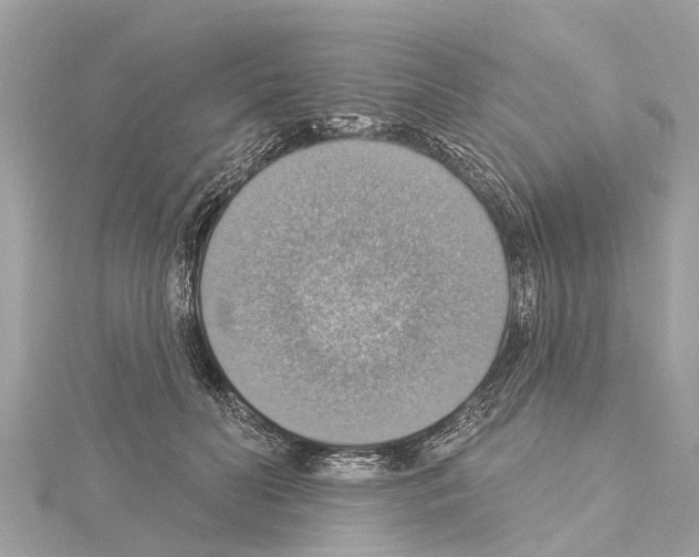 X0000114420606200911271558
