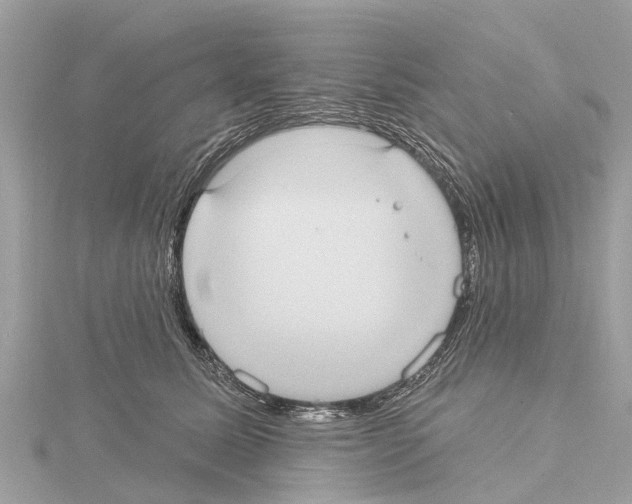 X0000114420611200911271558