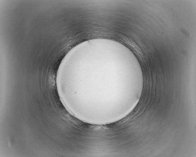X0000114420621200911271557